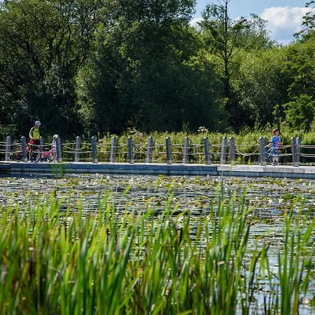 Mcguire's Red Door * Drumshanbo